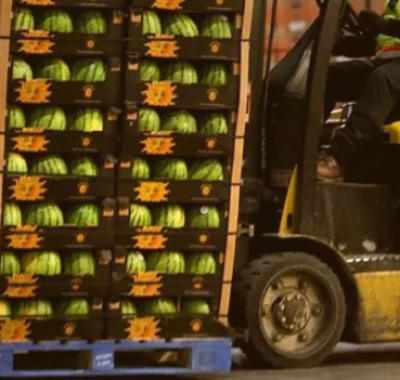 Screen Shot 2026-03-15 at 06.29.50